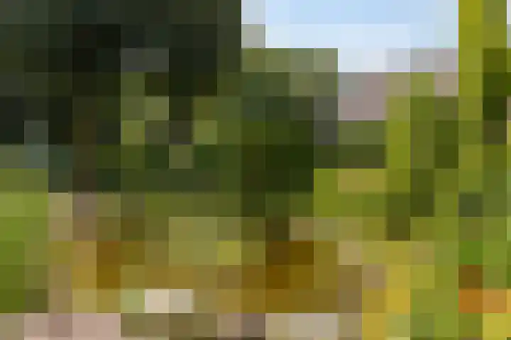 Wehmestraat 12 Steenderen thumbnail 50