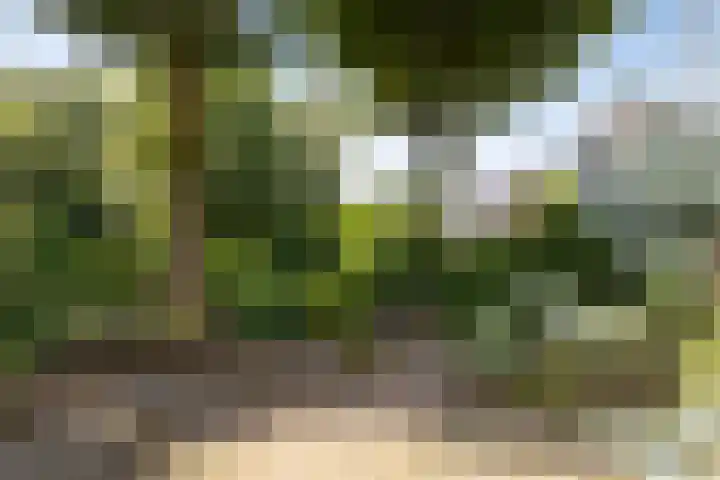 Wehmestraat 12 Steenderen thumbnail 51
