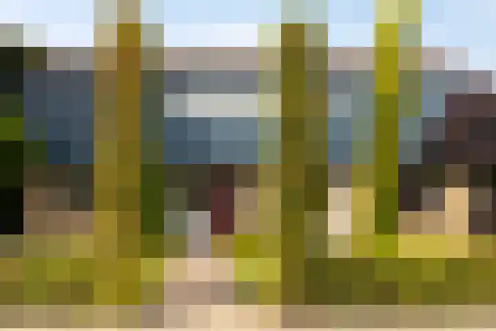 Wehmestraat 12 Steenderen thumbnail 53