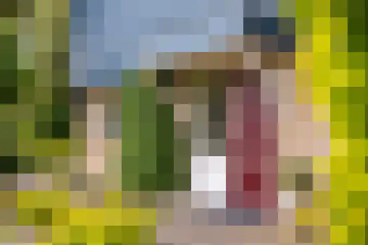 Wehmestraat 12 Steenderen thumbnail 54