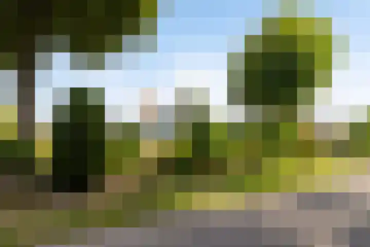 Wehmestraat 12 Steenderen thumbnail 56