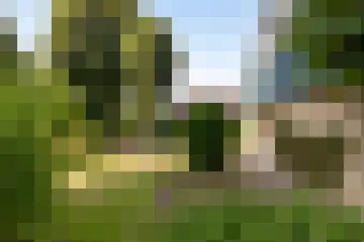 Wehmestraat 12 Steenderen thumbnail 57