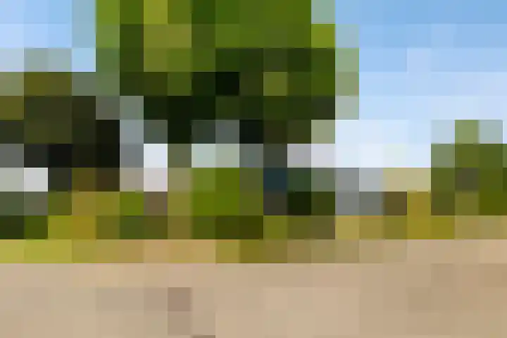 Wehmestraat 12 Steenderen thumbnail 59