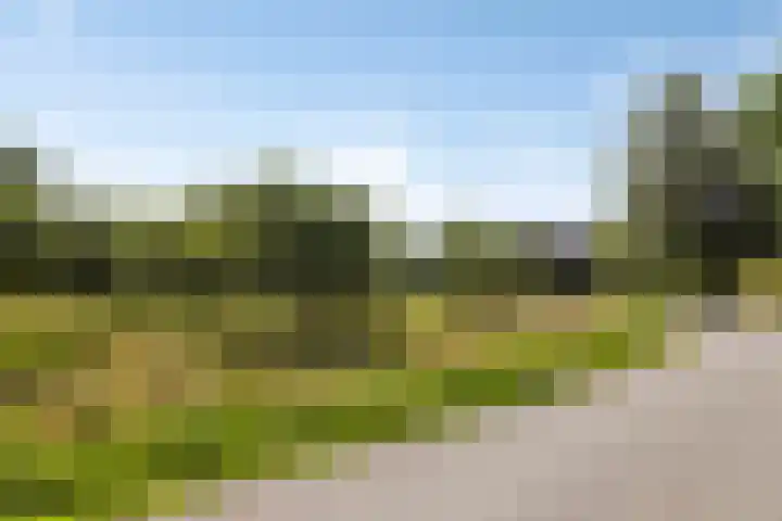 Wehmestraat 12 Steenderen thumbnail 63
