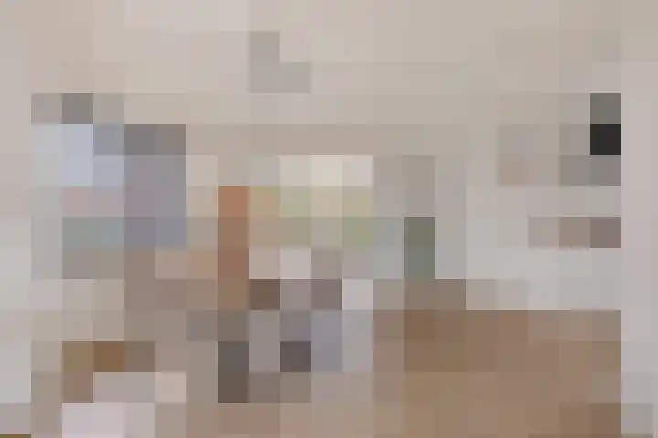 Weibuorren 17 Ureterp thumbnail 10