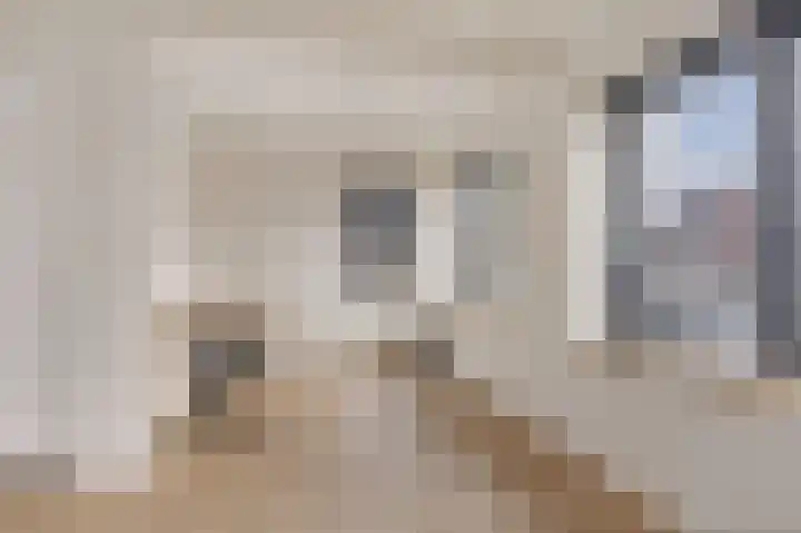Weibuorren 17 Ureterp thumbnail 15