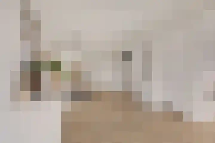 Weibuorren 17 Ureterp thumbnail 16