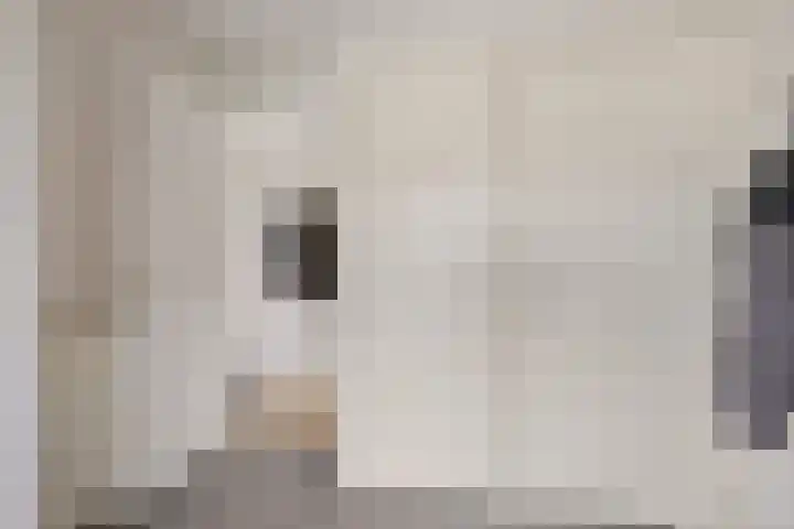 Weibuorren 17 Ureterp thumbnail 17