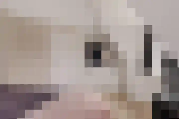 Weibuorren 17 Ureterp thumbnail 22