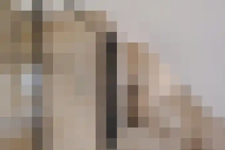 Weibuorren 17 Ureterp thumbnail 26