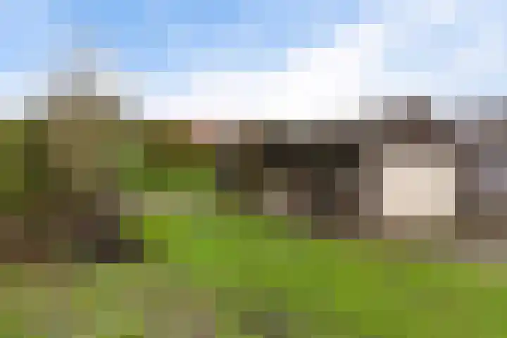 Weibuorren 17 Ureterp thumbnail 39