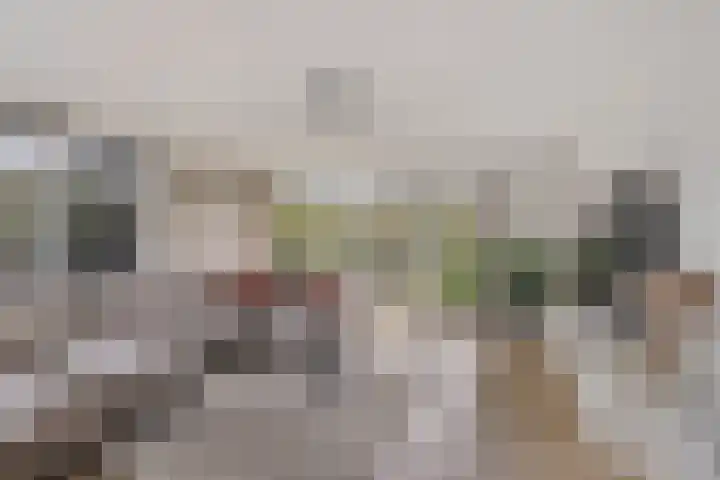 Weibuorren 17 Ureterp thumbnail 4