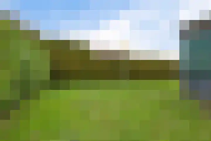 Weibuorren 17 Ureterp thumbnail 41