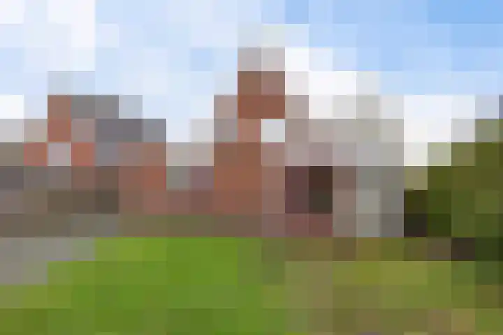 Weibuorren 17 Ureterp thumbnail 42