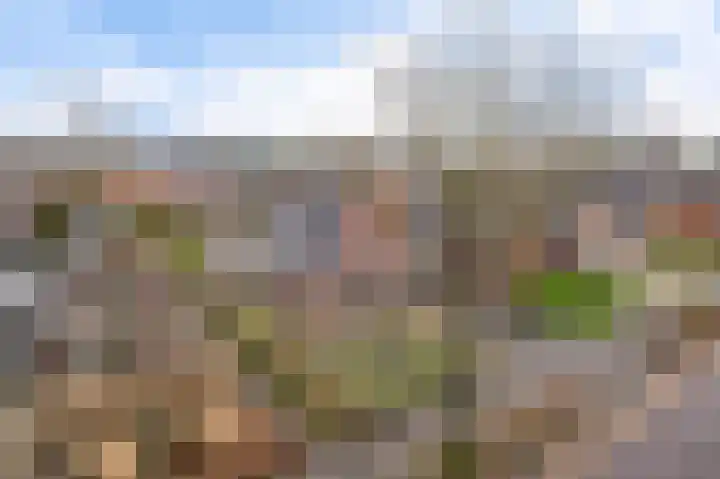 Weibuorren 17 Ureterp thumbnail 43