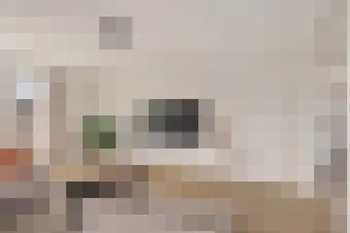 Weibuorren 17 Ureterp thumbnail 7