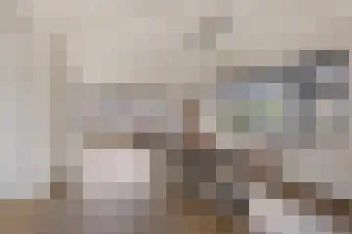 Weibuorren 17 Ureterp thumbnail 8