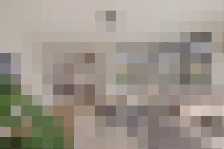 Weibuorren 17 Ureterp thumbnail 9