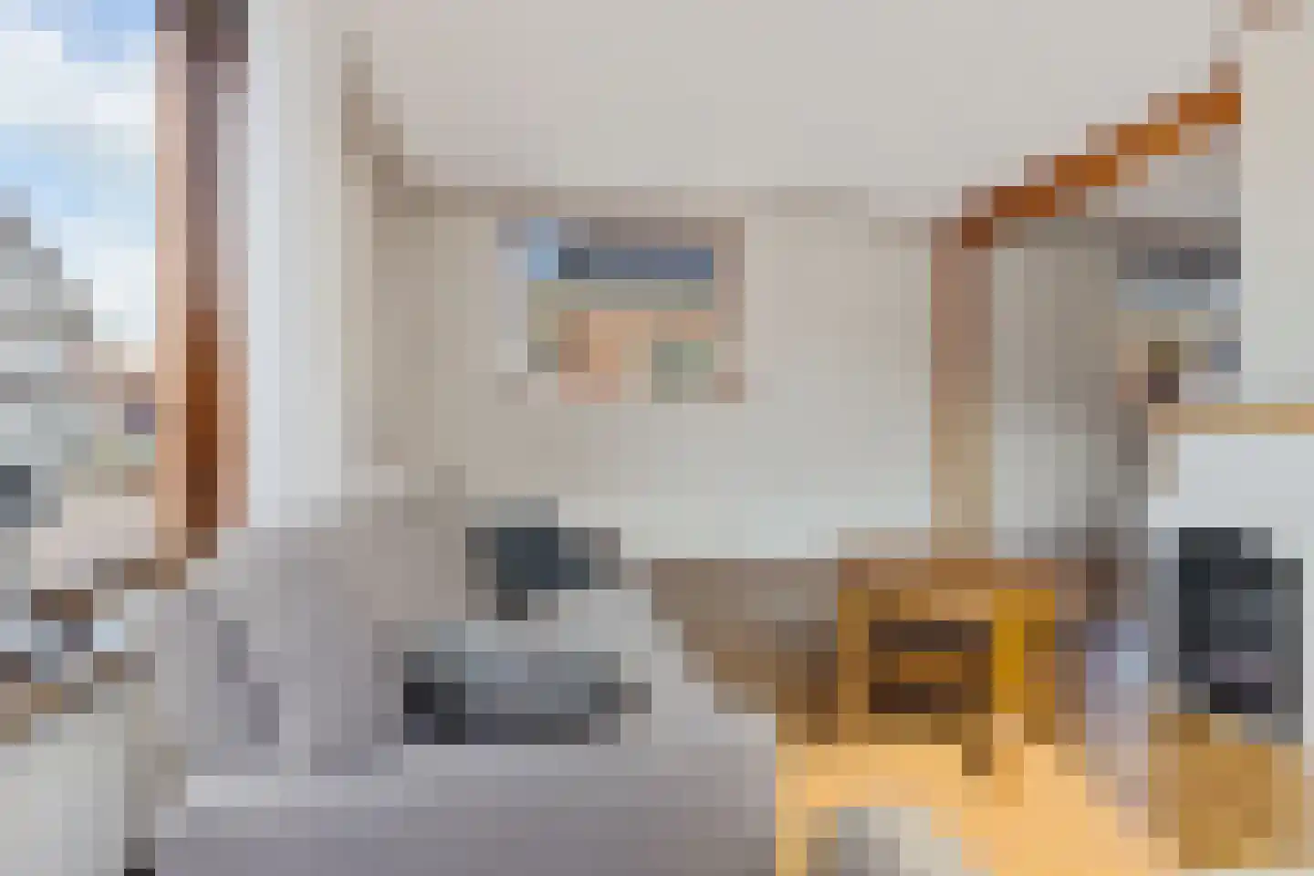Weibuorren 51 Ureterp thumbnail 18
