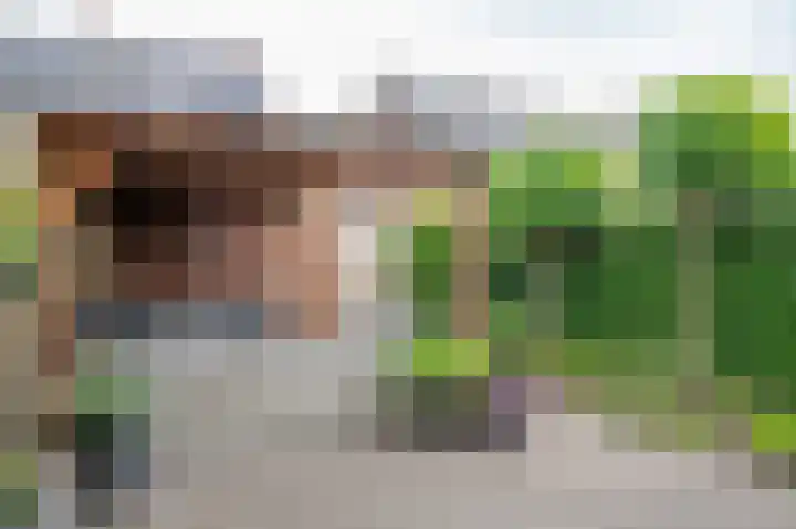Weide 1 Ruurlo thumbnail 28