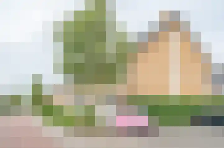 Weide 1 Ruurlo thumbnail 4