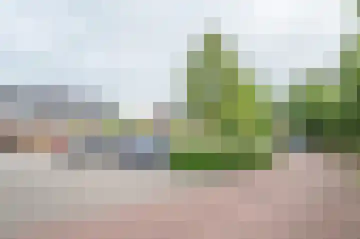 Weide 1 Ruurlo thumbnail 5