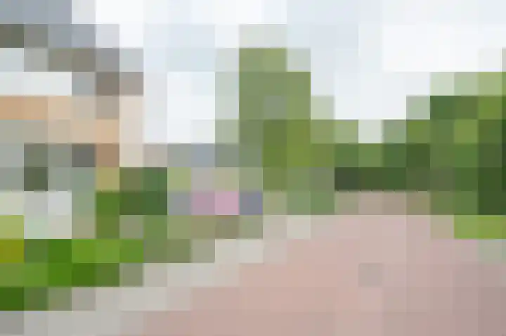 Weide 1 Ruurlo thumbnail 8