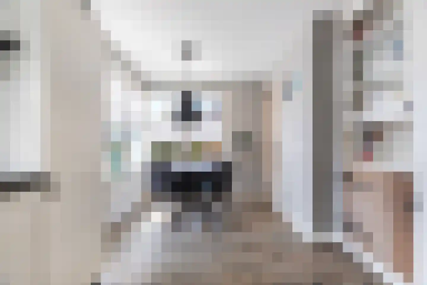 Weide 1 Stolwijk thumbnail 11