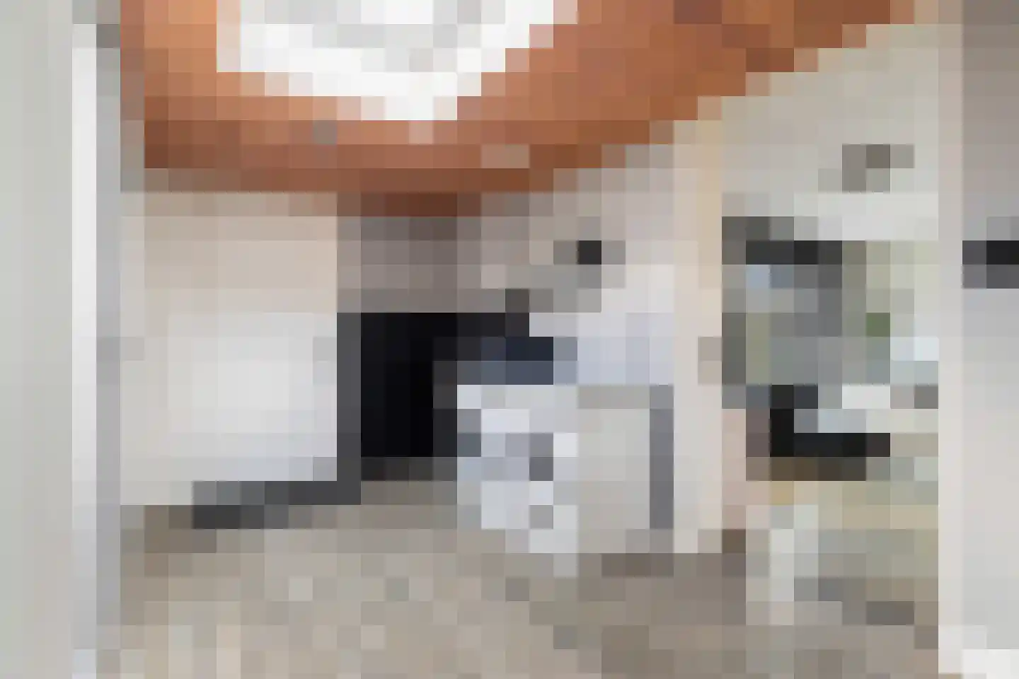 Weide 1 Stolwijk thumbnail 15