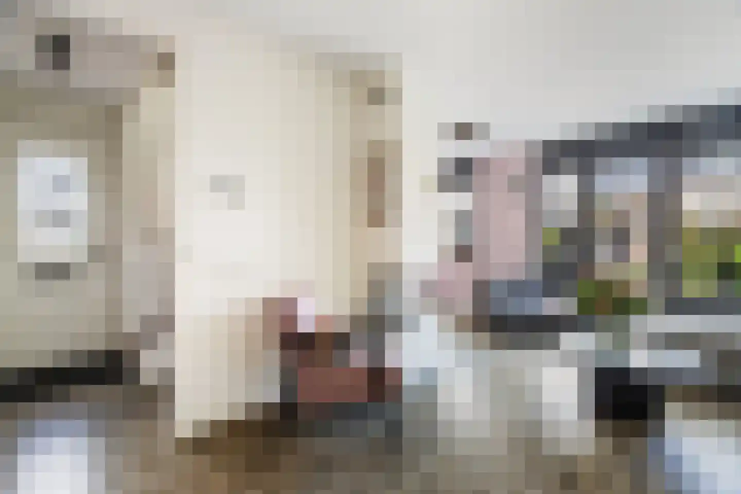 Weide 1 Stolwijk thumbnail 16