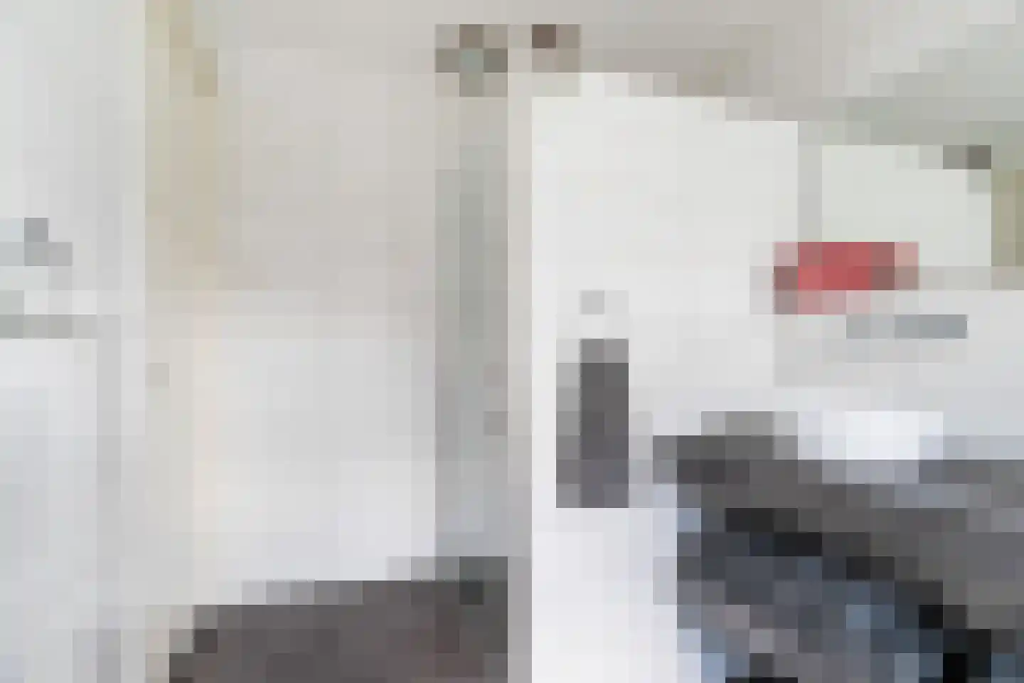 Weide 1 Stolwijk thumbnail 32