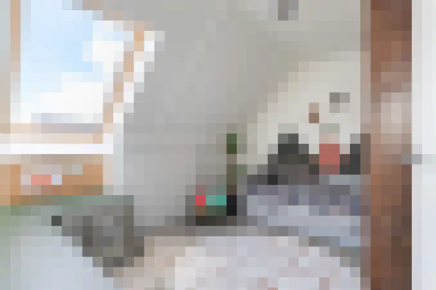 Weide 1 Stolwijk thumbnail 34