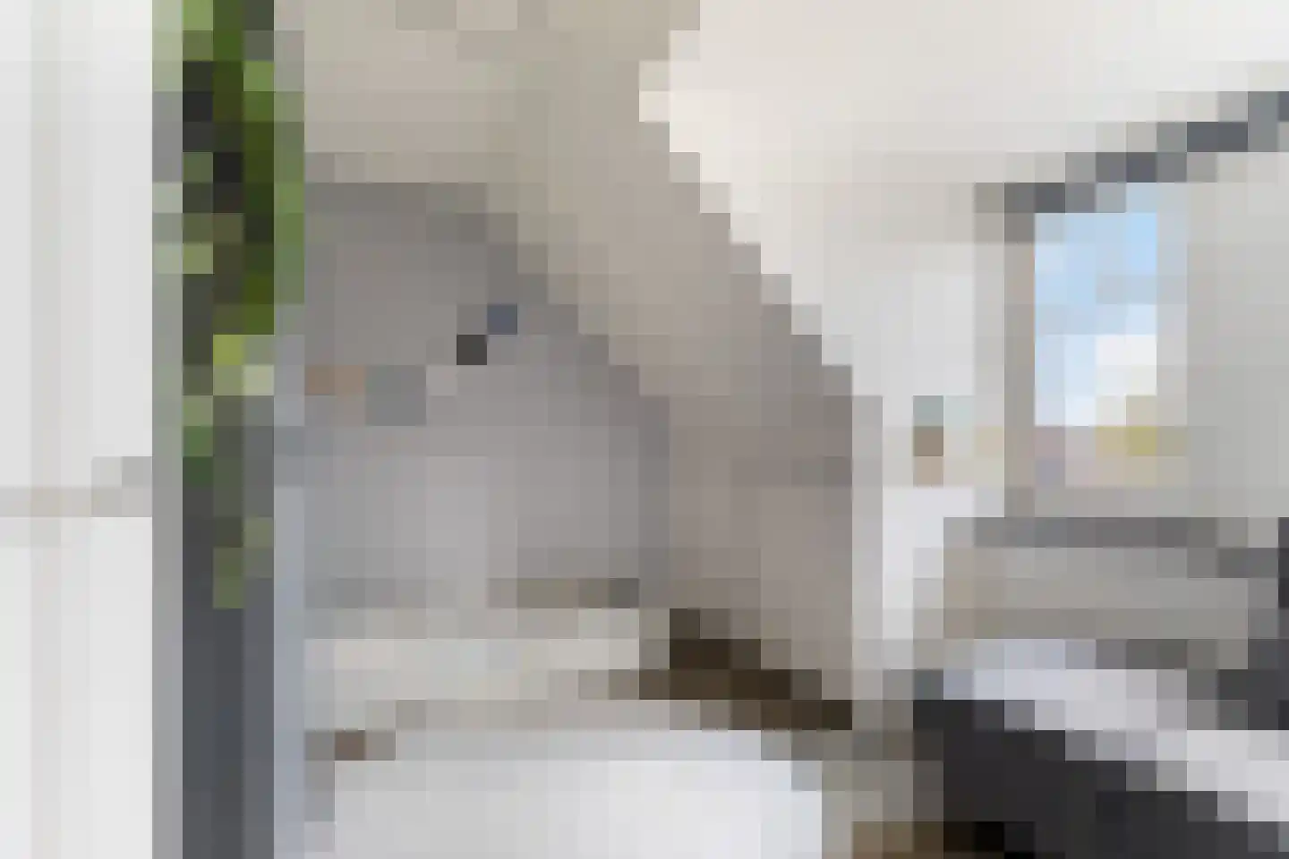 Weide 1 Stolwijk thumbnail 37