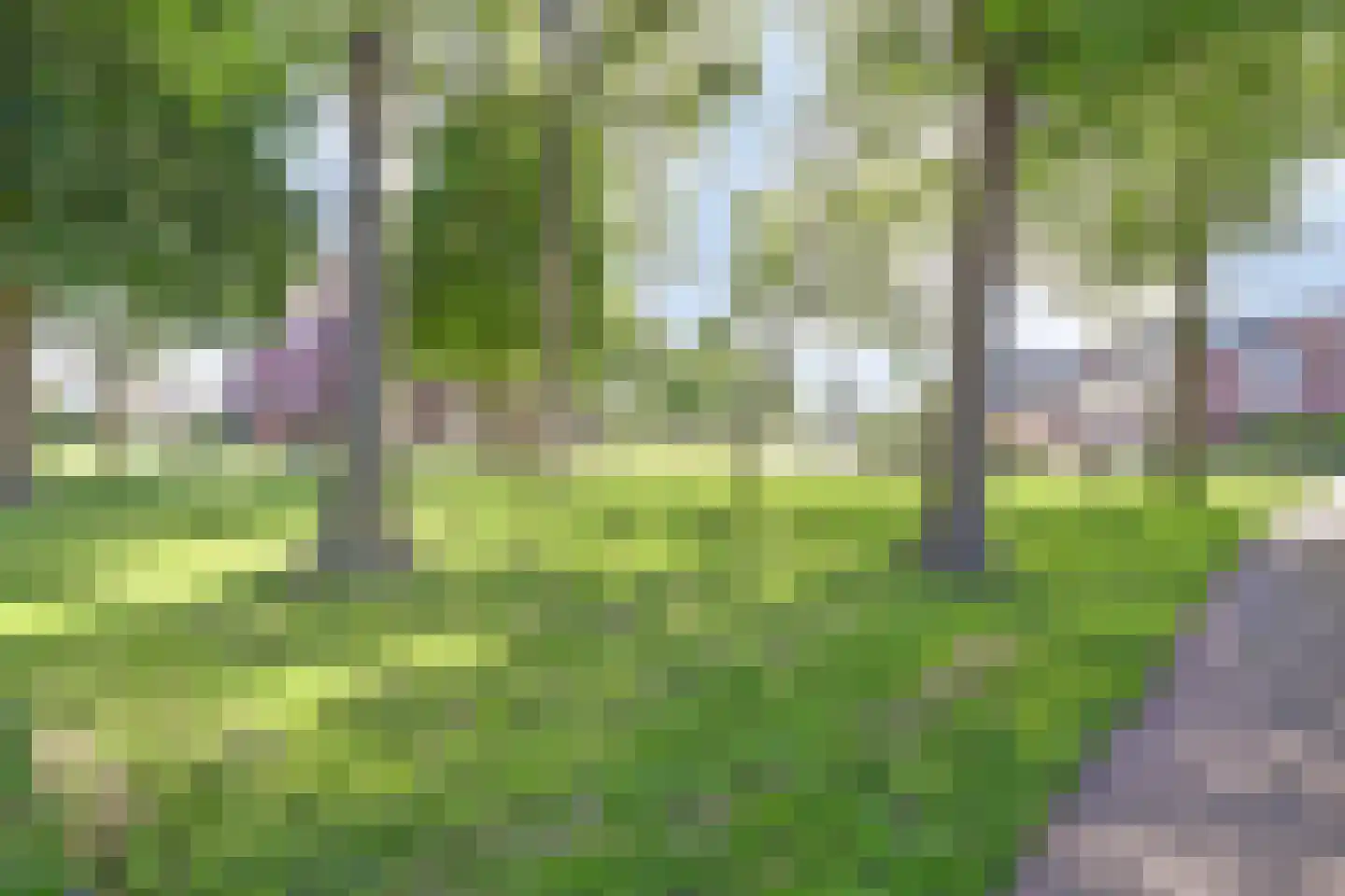 Weide 10 Leerdam thumbnail 31