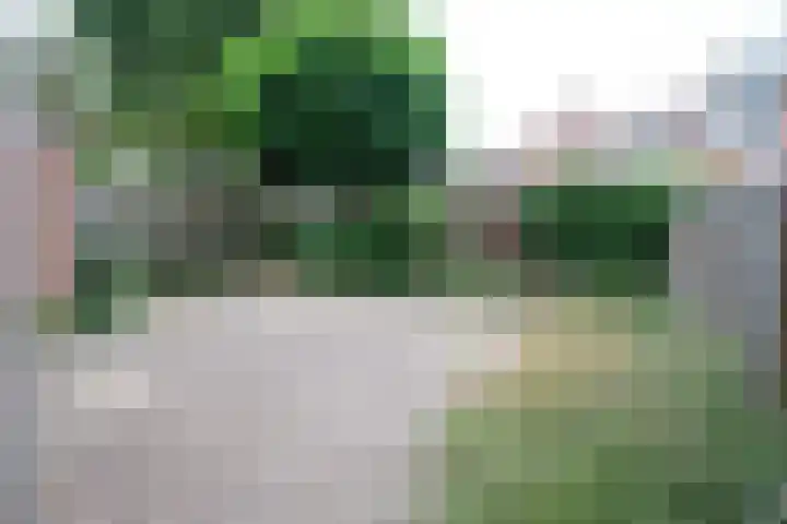 Weide 11 Leerdam thumbnail 10