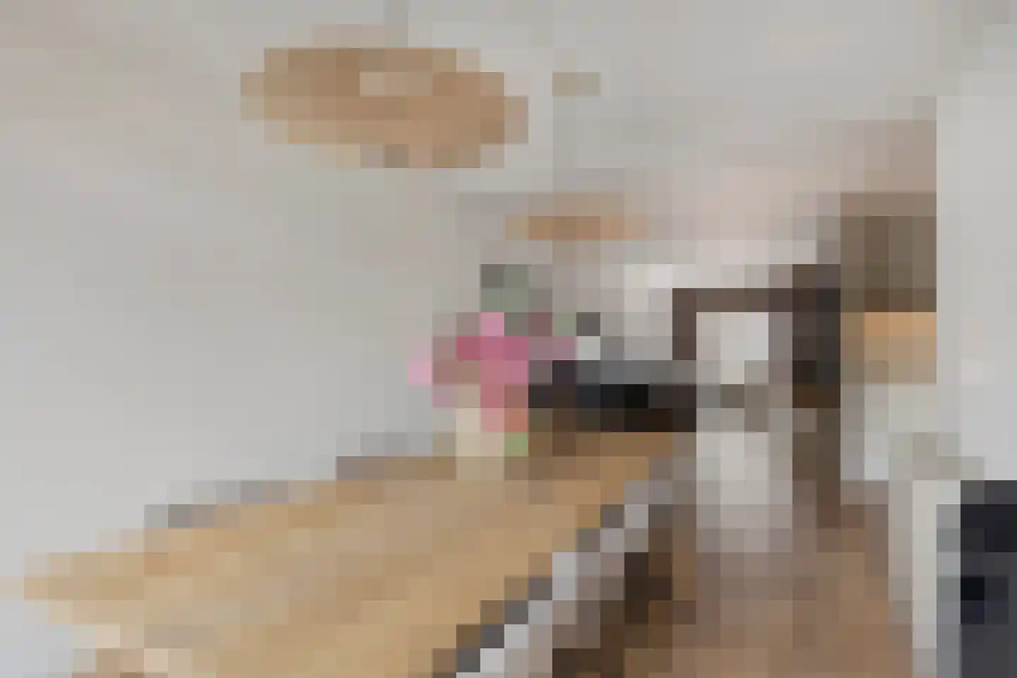 Weide 14 Druten thumbnail 11