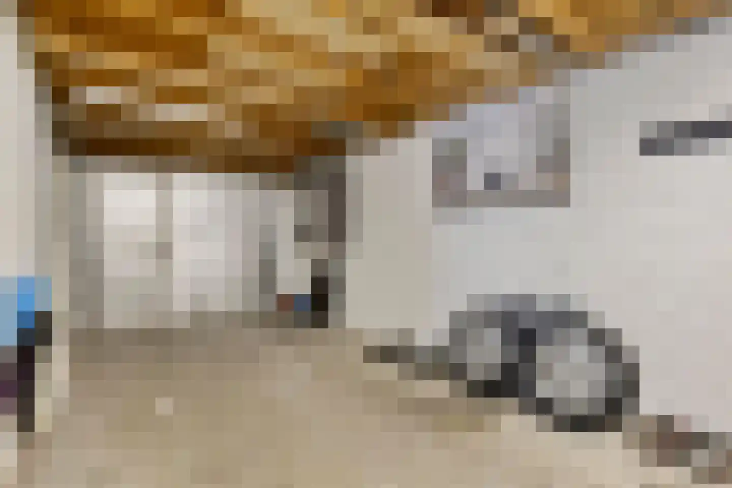 Weide 14 Druten thumbnail 18