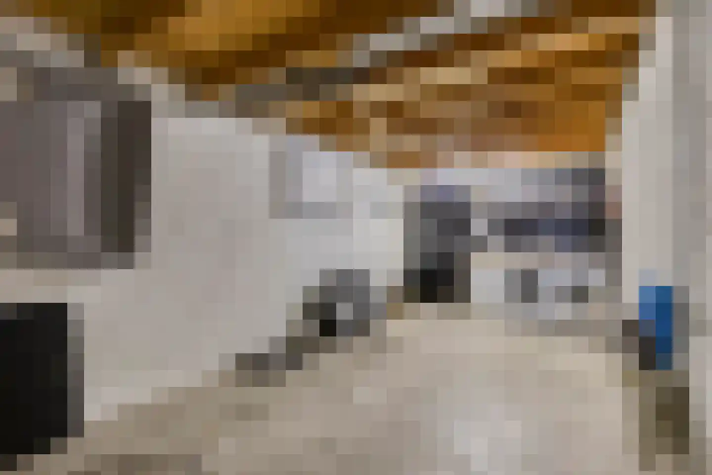 Weide 14 Druten thumbnail 19