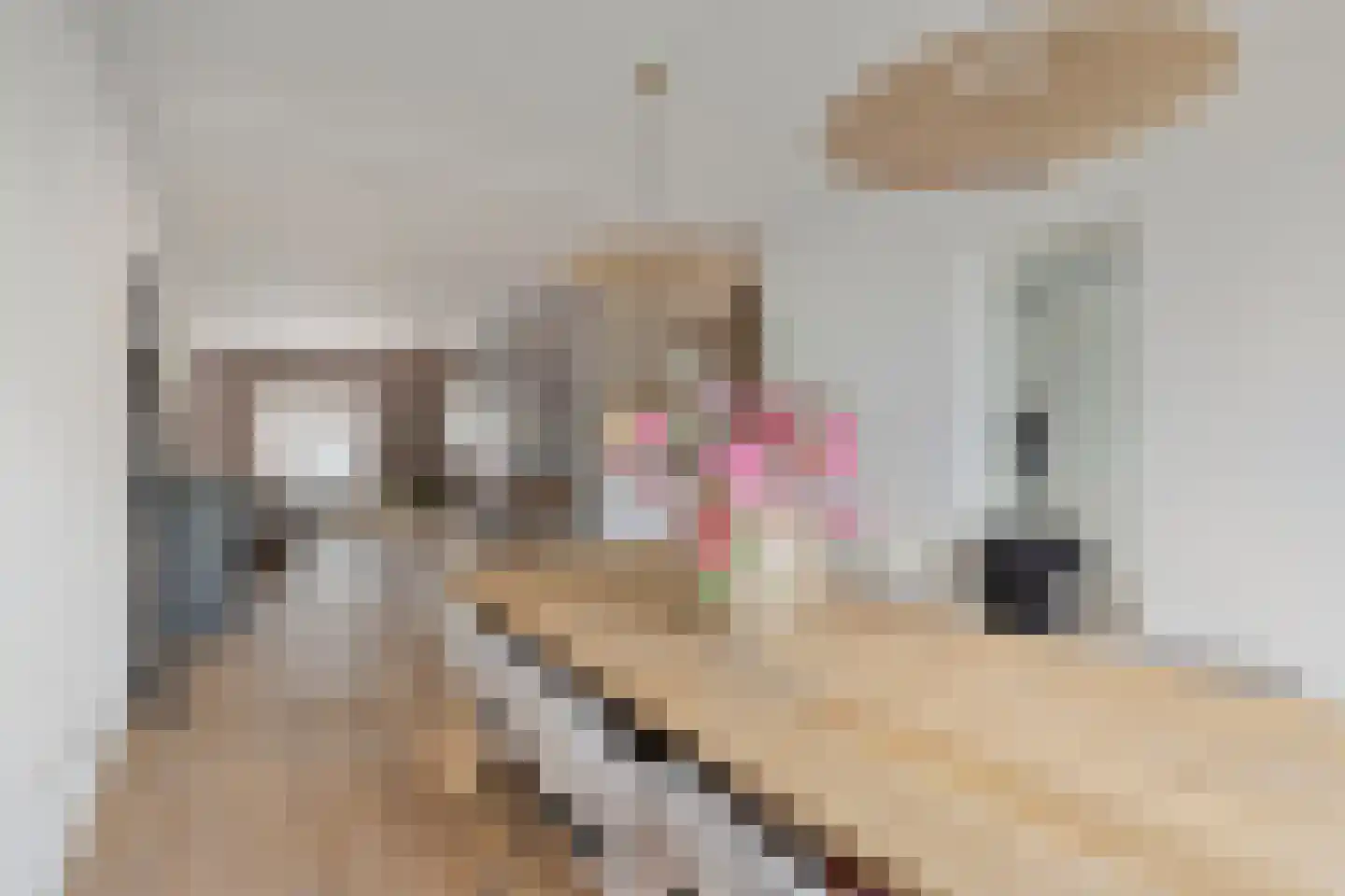 Weide 14 Druten thumbnail 21