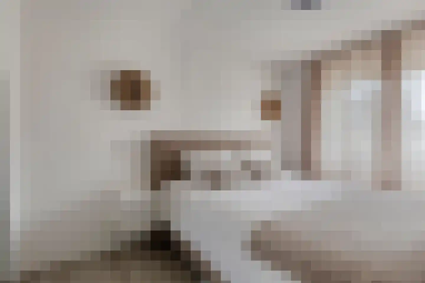 Weide 14 Druten thumbnail 23
