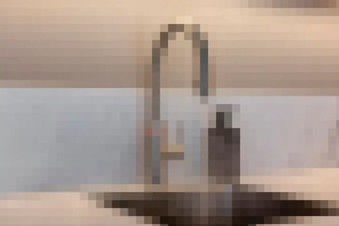 Weide 14 Druten thumbnail 36