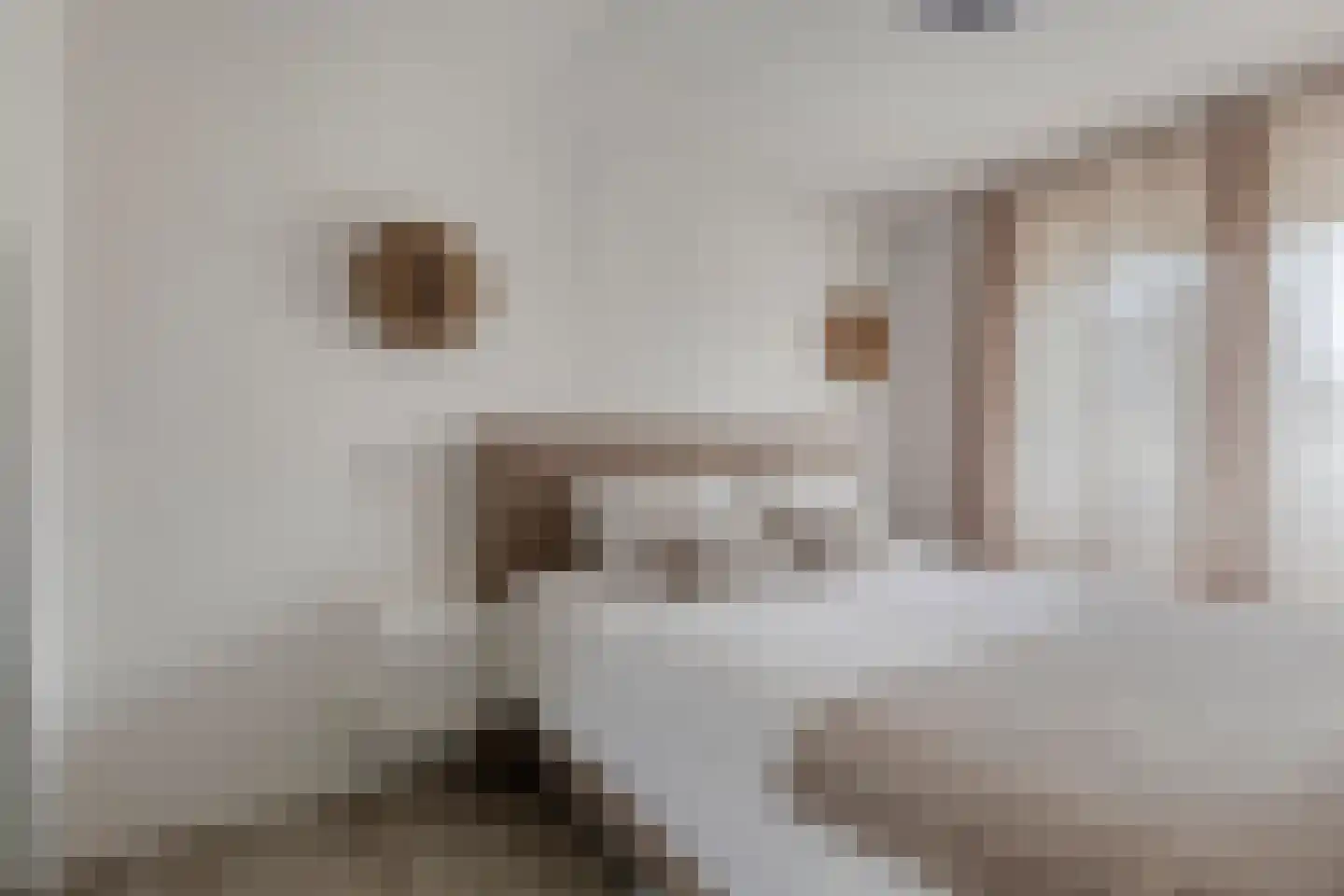 Weide 14 Druten thumbnail 41