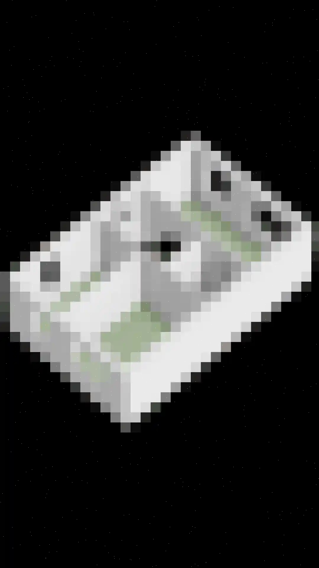 Weide 14 Druten thumbnail 46