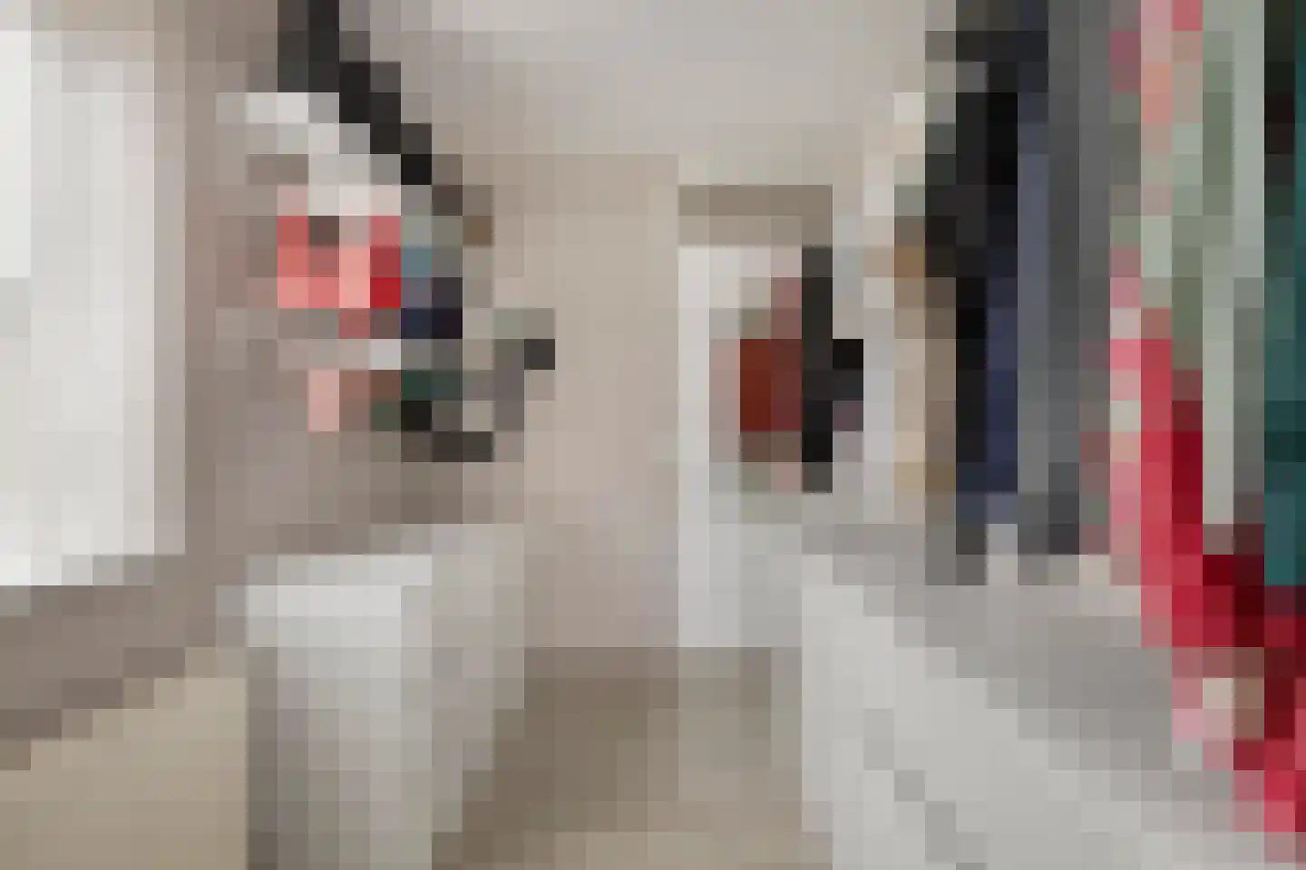 Weide 14 Druten thumbnail 52