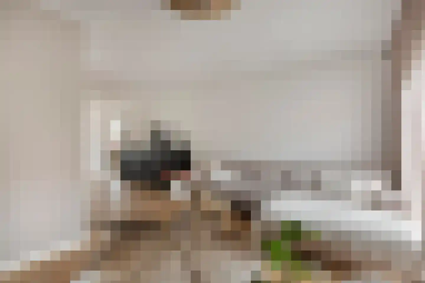 Weide 14 Druten thumbnail 6
