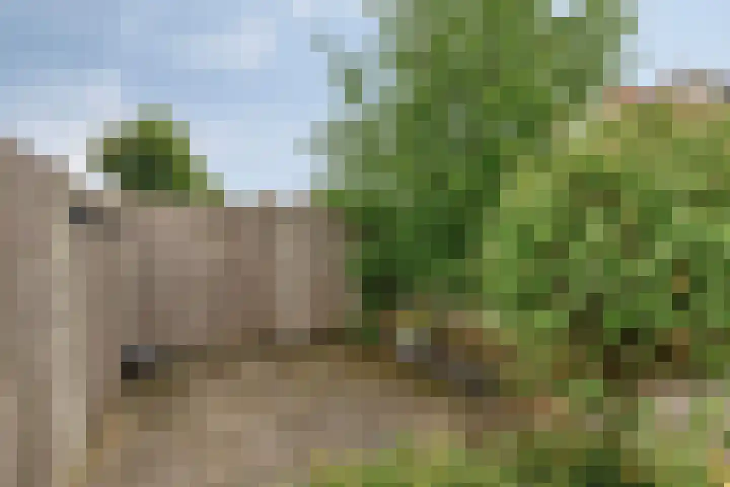 Weide 14 Druten thumbnail 61