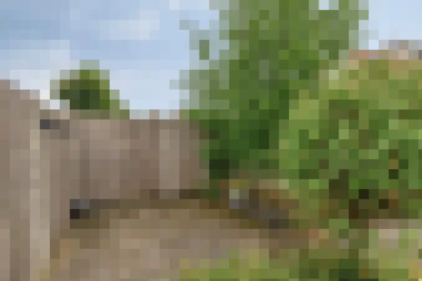 Weide 14 Druten thumbnail 61