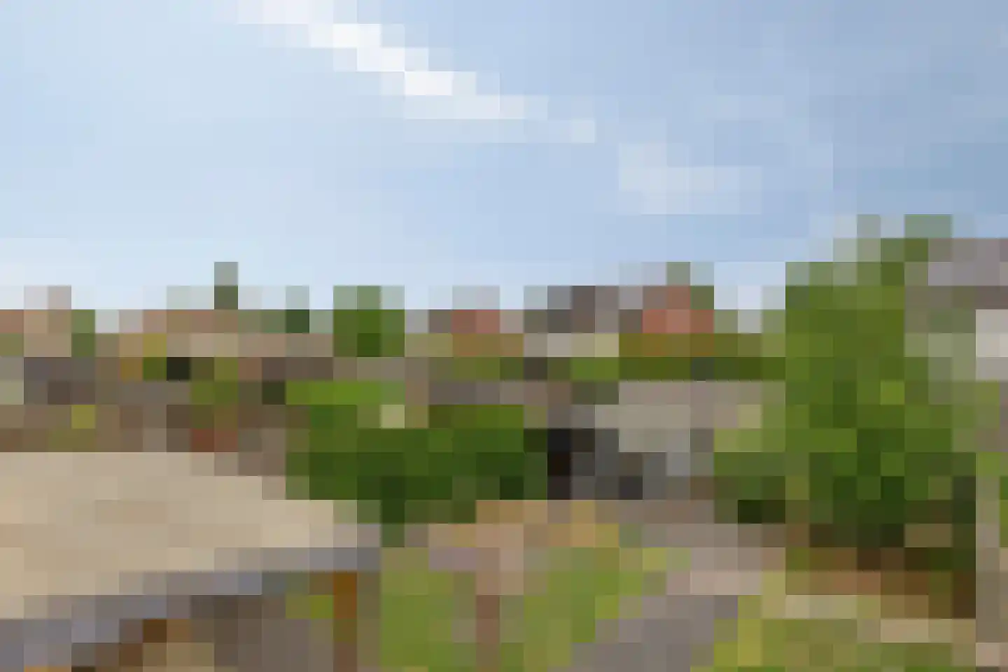 Weide 14 Druten thumbnail 64