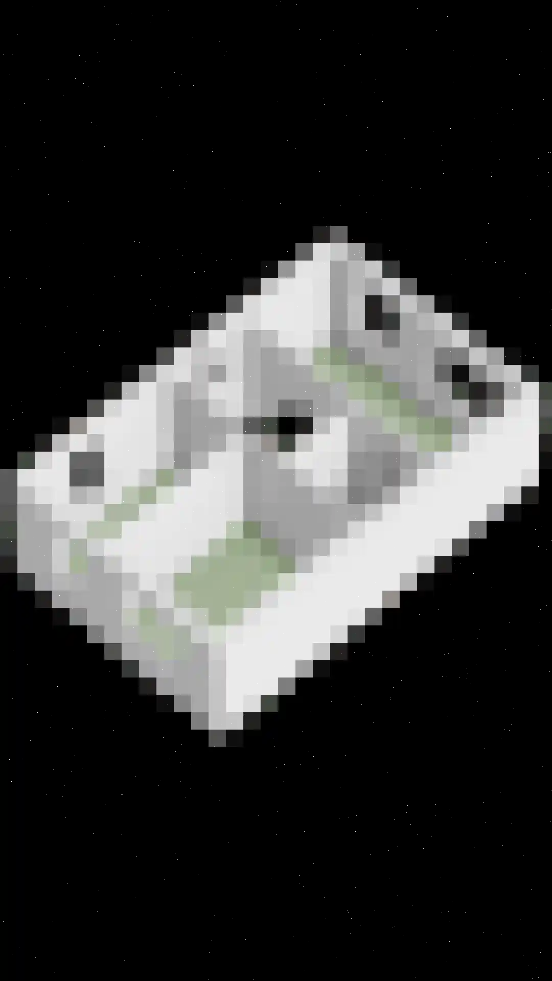 Weide 14 Druten thumbnail 72