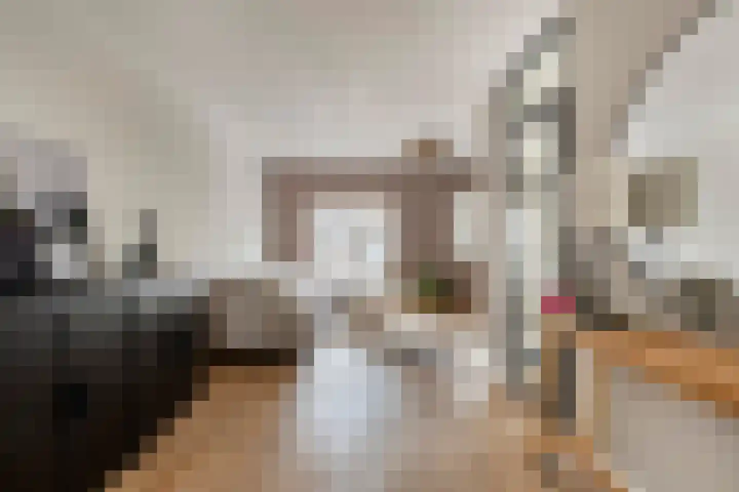 Weide 14 Druten thumbnail 8